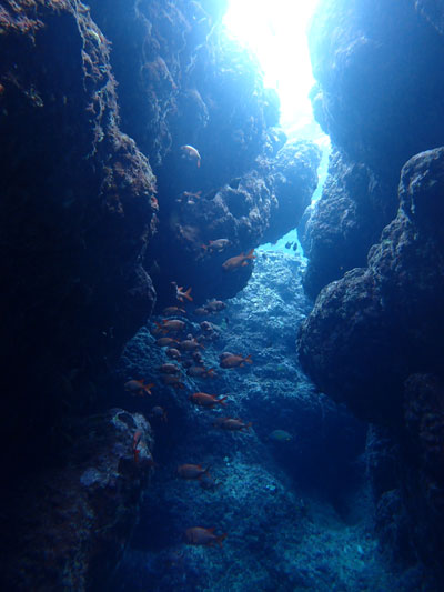 中の島チャネル　宮古島　ダイビング